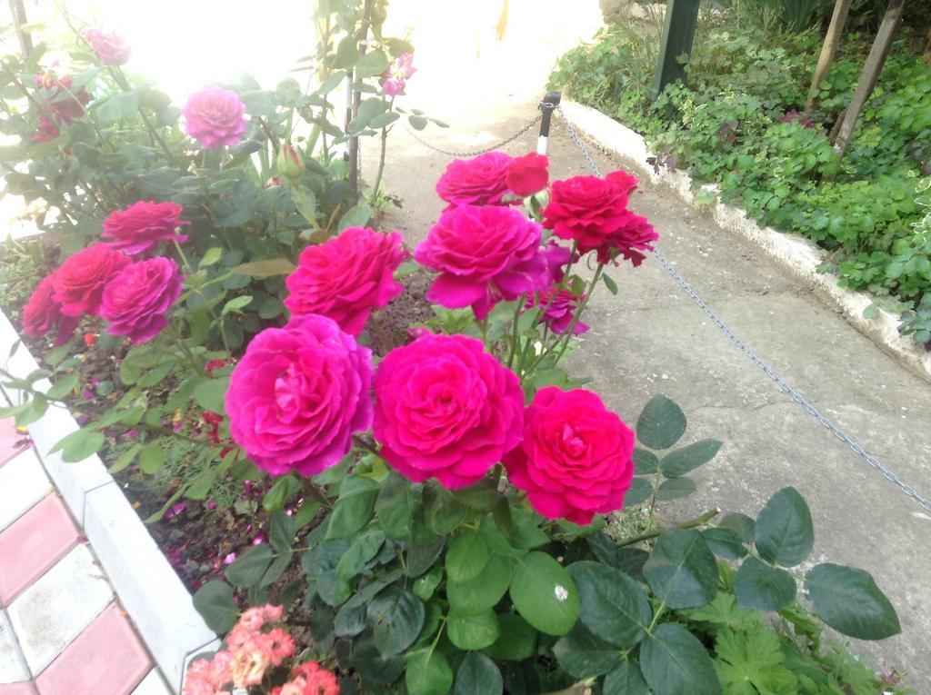 Pink Guest House Obzor Esterno foto